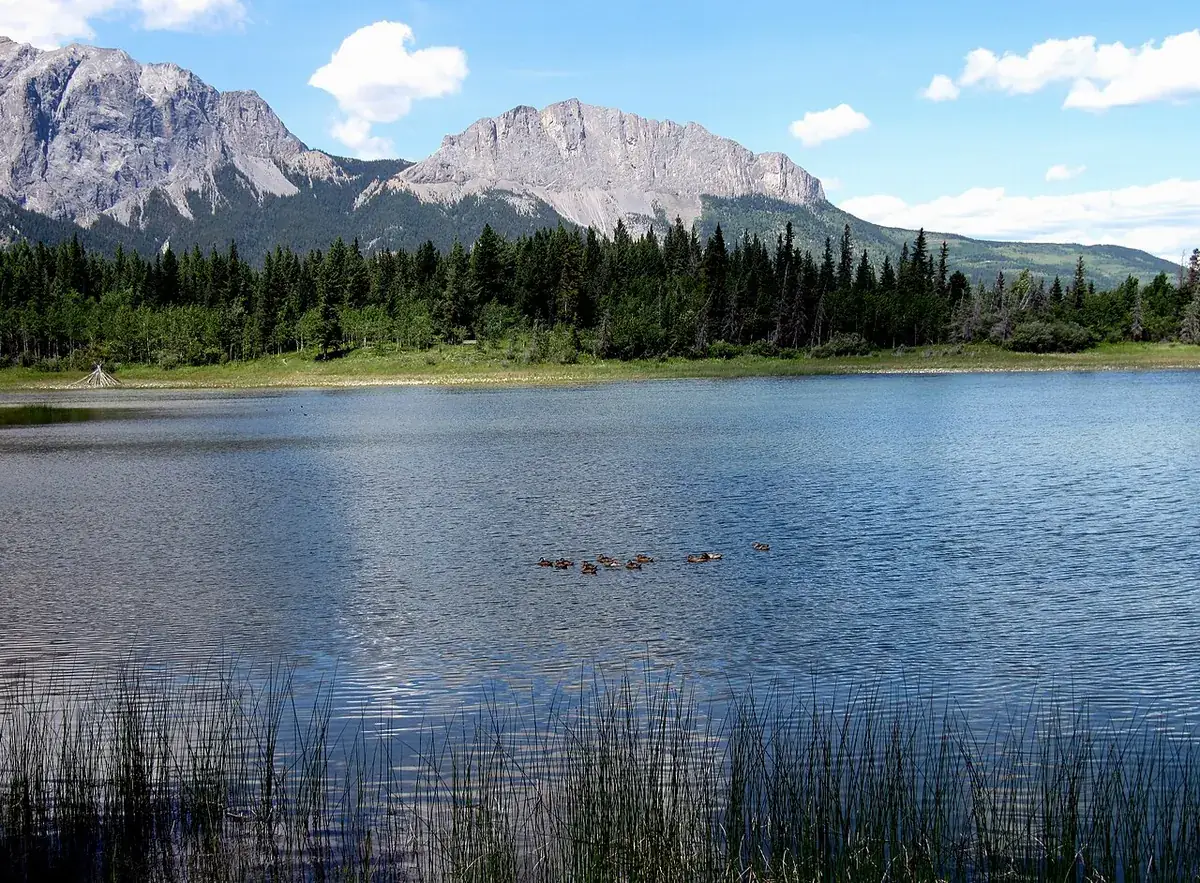 Mount Yamnuska from Middle Lake in Bow Valley Provincial Park.