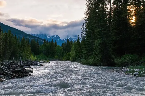 The Bow River just south of Johnston Canyon Campground.