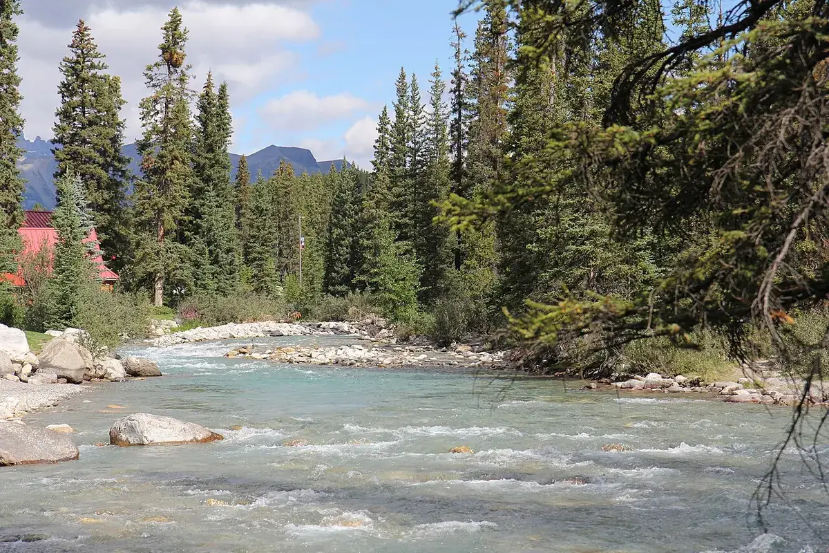 The Bow River in Lake Louise village, which the campground borders.
