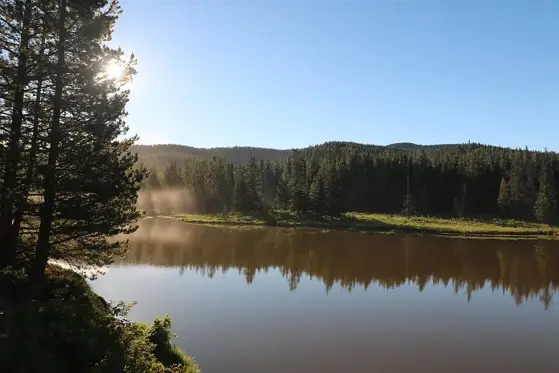 Morning mist in the McLean Creek area of Kananaskis Country.