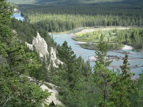 Hoodoos on Tunnel Mountain, near the campground (not the campsites themselves).