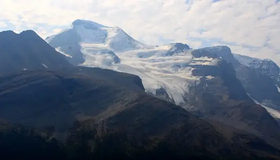 Columbia Icefield from the Wilcox Pass trail, which starts at the campground.