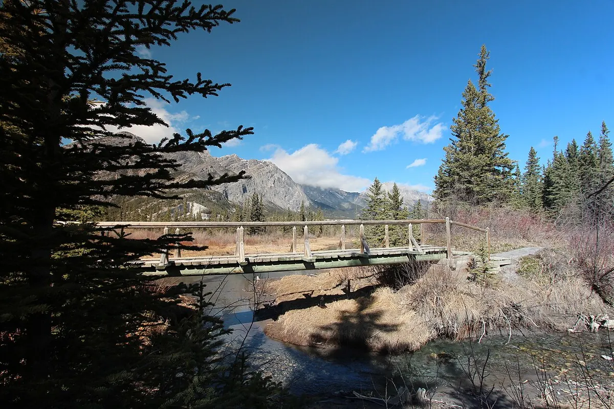 Ponds on the Many Springs trail in Bow Valley Provincial Park.